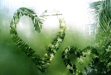 虎扑BBS-曼城阿尔瓦雷斯表现评价(阿尔瓦雷斯2021最新比赛)